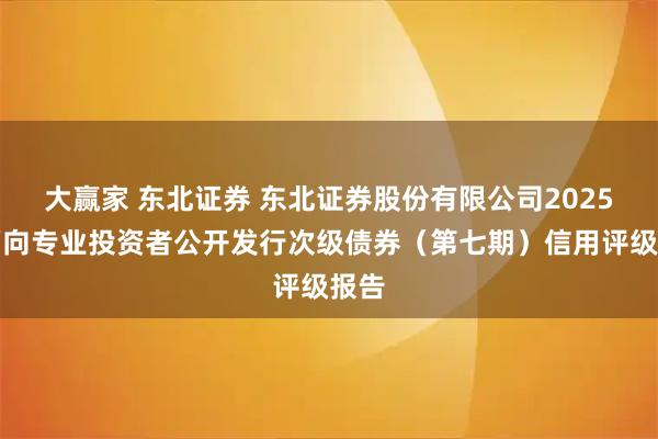大赢家 东北证券 东北证券股份有限公司2025年面向专业投资者公开发行次级债券（第七期）信用评级报告